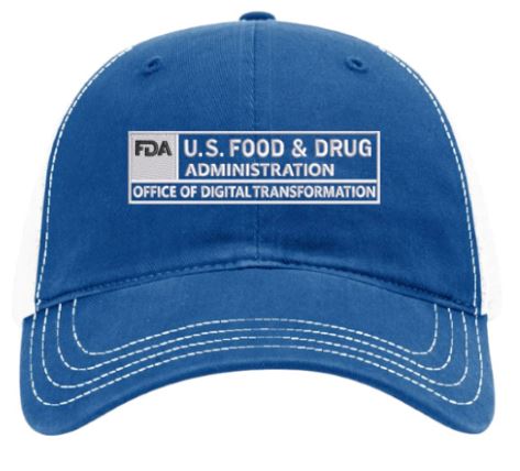 FDA - Richardson Garment-Washed Snapback Dad Cap